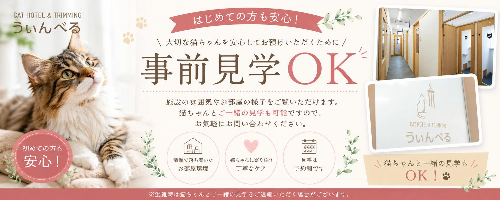 CAT HOTEL & TRIMMING うぃんべる　事前見学OK