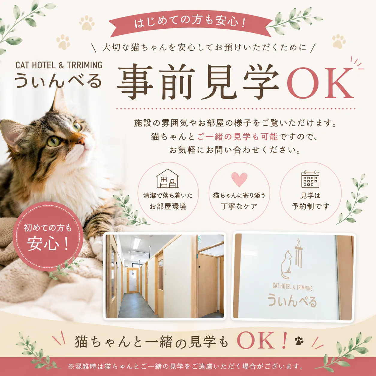 CAT HOTEL & TRIMMING うぃんべる　事前見学OK